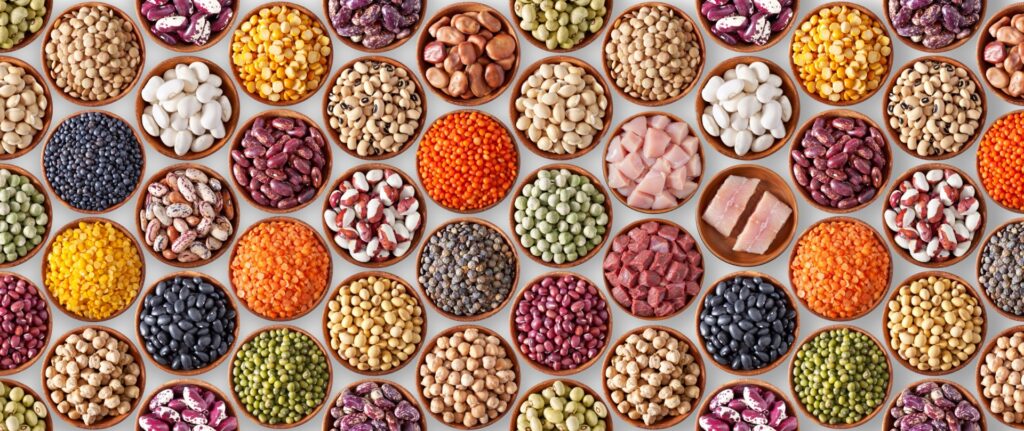 Collaborer autour de la diversification des protéines