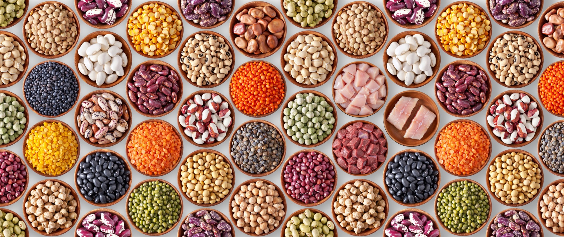 Collaborer autour de la diversification des protéines