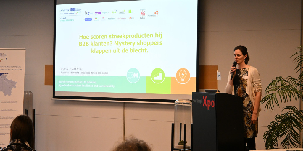 Wat leren mystery shoppers ons over B2B-klanten?