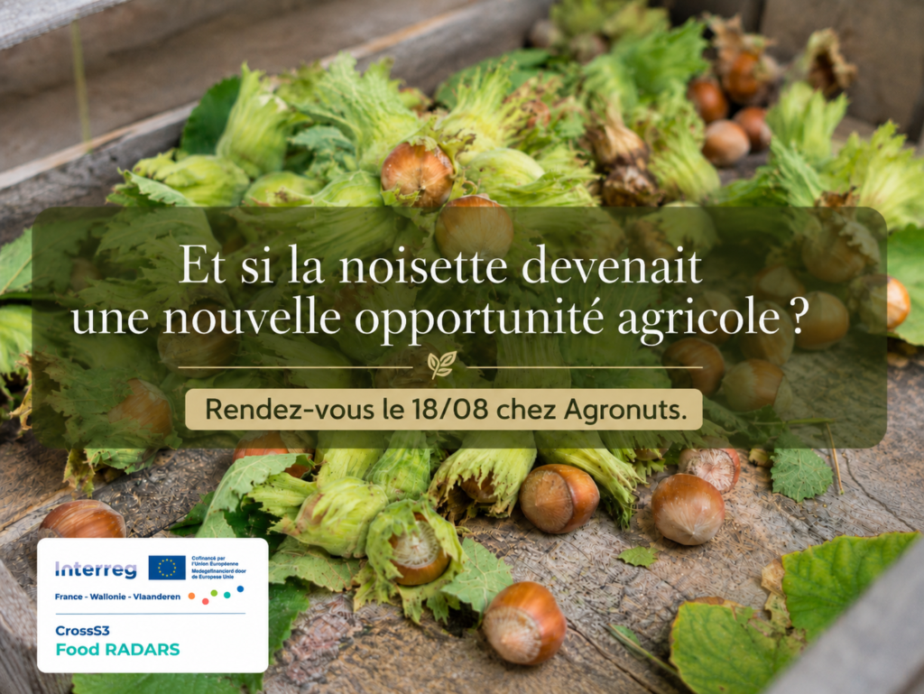 Filière noisette – Construire ensemble une chaîne de valeur locale, innovante et performante